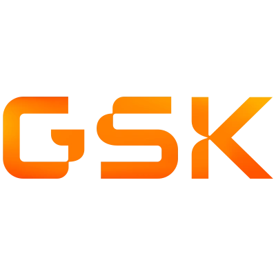 GLAXOSMITHKLINE - GSK - LABORATORIOS STIEFEL - STIEFEL logo